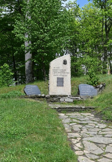 DSC_4617.JPG