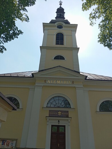 IMG_20260701_101643.jpg